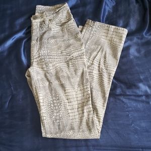 High Waist Cavalli Jeans